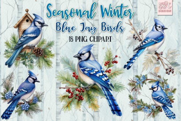 Download Winter Season Blue Jay Bird Illustration - Illustration Collection