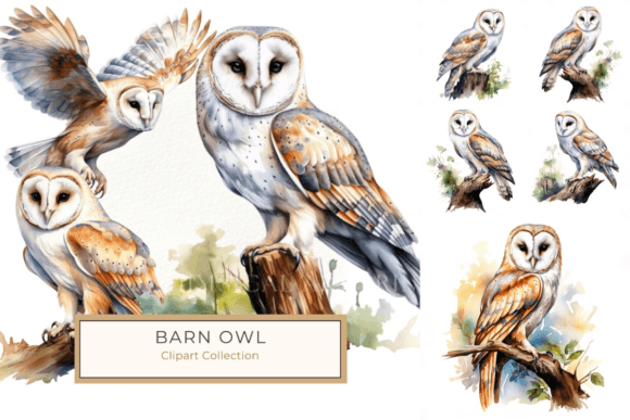 Download Elegant Watercolor Barn Owl on Branch - Premium Resources