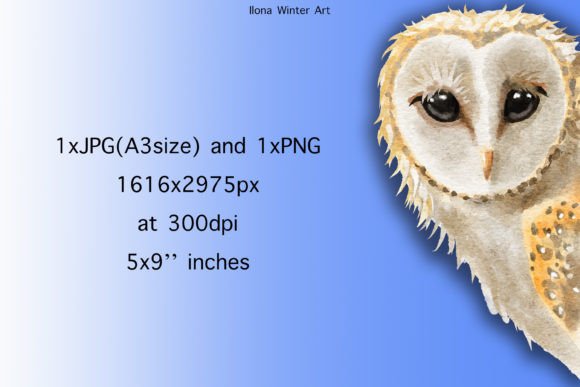 Download Watercolor Barn Owl Clip Art - Watercolor barn Collection